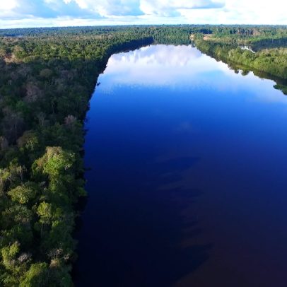 Flexibilizar o Código Florestal não leva a vitória, afirma análise