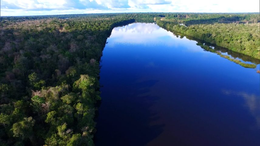 Mesquita ressalta necessidade de criar pacto nacional para implementar, efetivamente, o Código Florestal