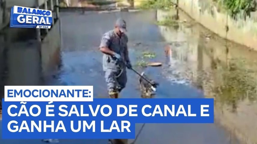 Reprodução canal do Youtube Record Litoral e Vale