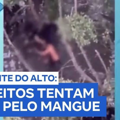 Helicóptero registra suspeitos tentando se esconder no mangue de Cubatão