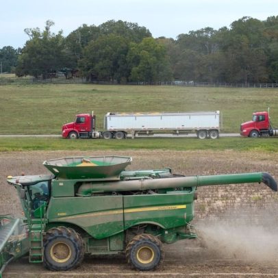 EUA dizem que China concordou em comprar US$ 17 bilhões em produtos agrícolas
