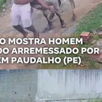 Vídeo mostra homem sendo arremessado por boi em Paudalho, PE