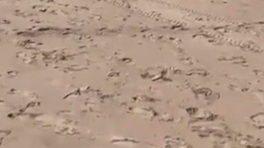 Reprodução canal do Youtube RECORD BAHIA