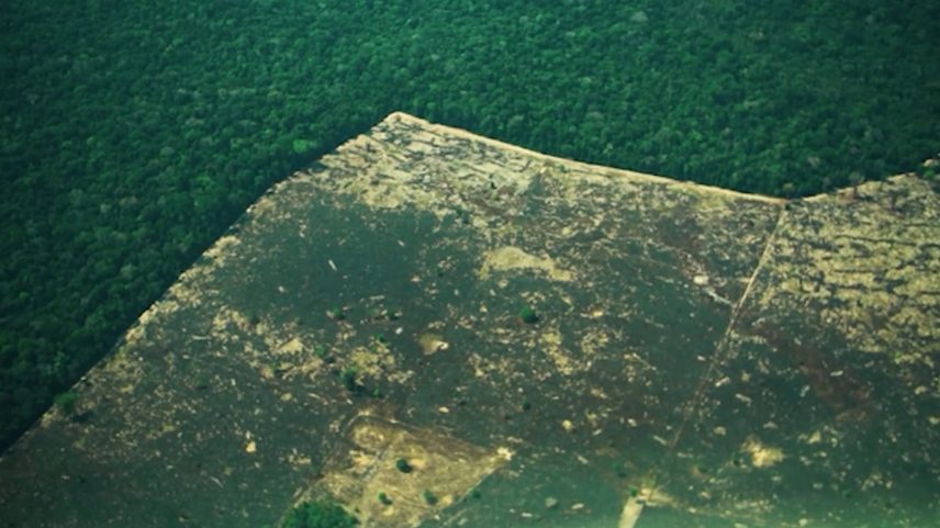 Diretor do Ipam diz que decisão da Câmara torna o 'cuidado pelo território mais ineficaz'