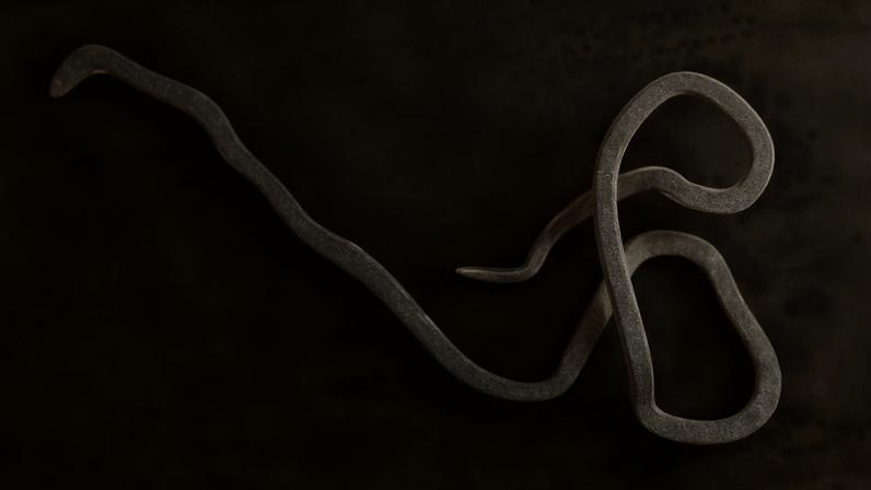 OMS confirma primeira alta em surto de ebola no Congo. (Foto: Getty Images via Canva)