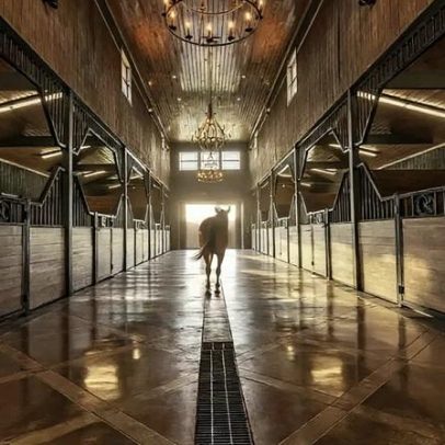 Haras de US$ 4 milhões no Texas: bastidores do luxo equino