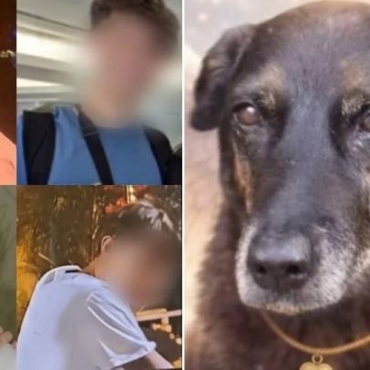 Juíza decide sobre adolescentes envolvidos no caso do cão Orelha