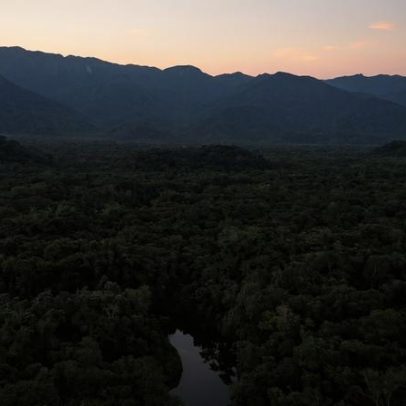 Desmatamento na Mata Atlântica chega ao menor nível histórico