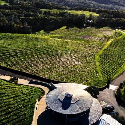 Por que 2023 é a safra histórica no Napa Valley
