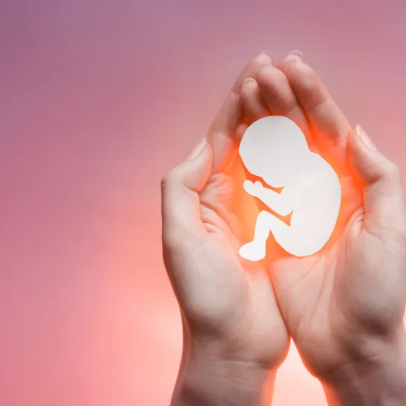 Nova caderneta da gestante Ministério da Saúde vira alvo de debate sobre aborto, gênero e ideologia