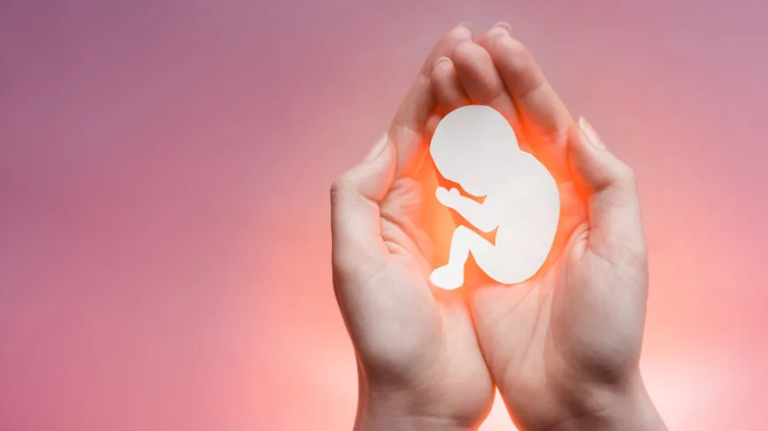 Nova caderneta da gestante Ministério da Saúde vira alvo de debate sobre aborto, gênero e ideologia
