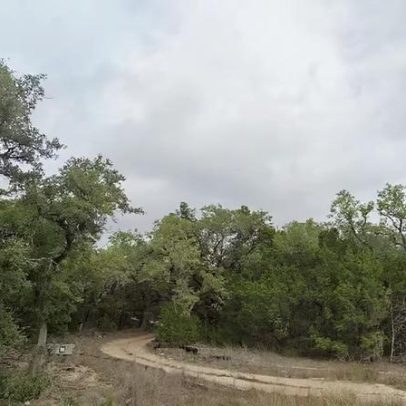 Cinco mortos após queda de avião no Texas, diz TV americana