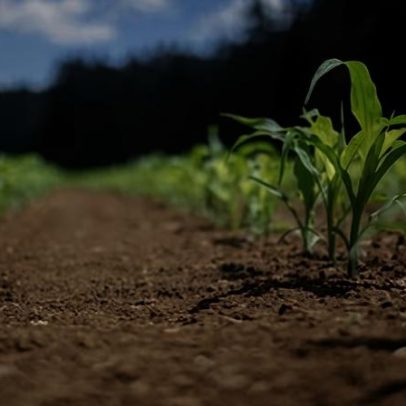 Governo inclui produtores rurais no Desenrola 2.0 e amplia prazos