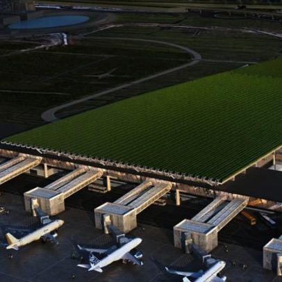 Aeroporto italiano terá vinhedo no telhado e produção de vinhos