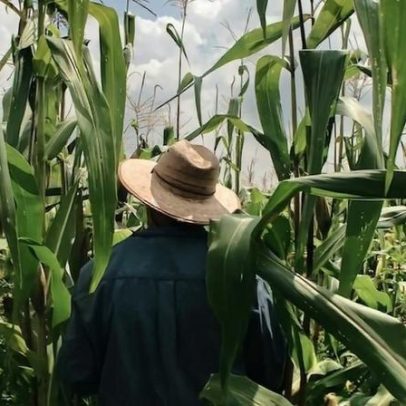 Desenrola 2 é incipiente para dívidas do agronegócio, afirma FPA