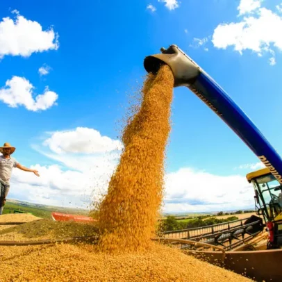 Setor Agro emprega 28,4 milhões de trabalhadores e atinge recorde histórico