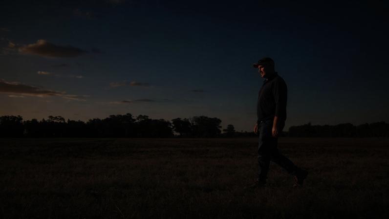 Justin Everitt caminha pelos campos de trigo em sua fazenda perto de Brocklesby