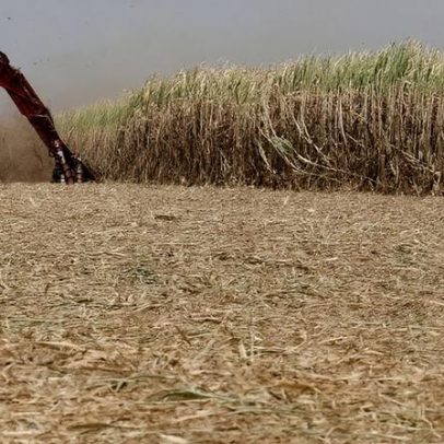 Etanol hidratado sobe 1,27% em SP após oito quedas semanais