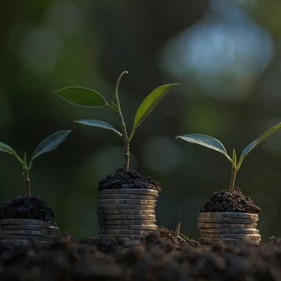 Governo mira R$ 50 bi em leilão Eco Invest para financiar tecnologias