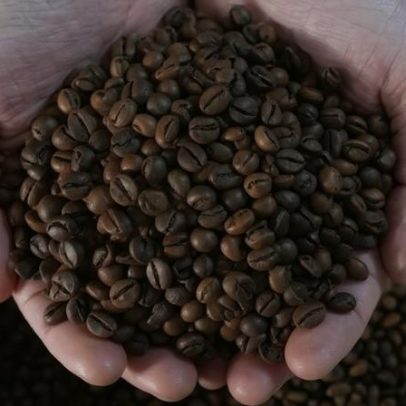 Brasil deve registrar exportações de café recordes em 2026/27, diz Eisa