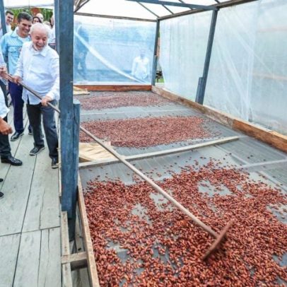Dona Nena, paraense, ensina Lula e Macron sobre cacau e chocolate premium