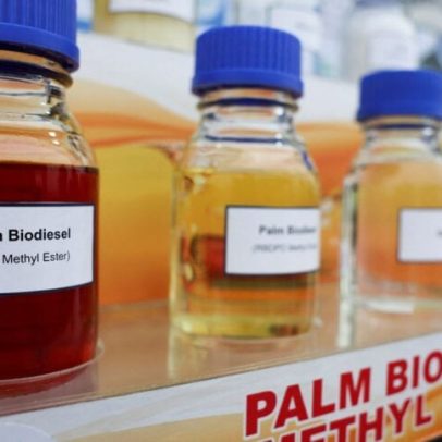 Recuperação do óleo de palma segue com alta demanda por biodiesel