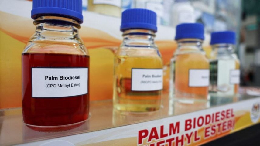 Garrafas de biodiesel de palma são exibidas em Sepang, Malásia, em 29 de maio de 2025.