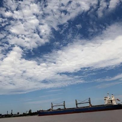 Bolsa de Buenos Aires projeta safra de 50,1 milhões de toneladas de soja