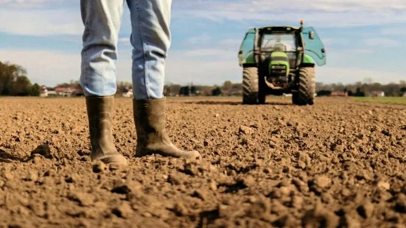 Detalhe de solo pedregoso em área agrícola