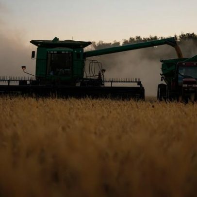 Agricultura impulsiona PIB, crescimento de 1,1% no 1º trimestre