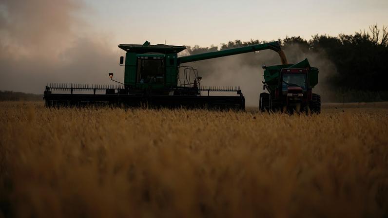 Crescimento da agropecuária no PIB ocorreu principalmente pelo aumento da produtividade e safra recorde de soja. (Foto: Michel Willian/Gazeta do Povo)