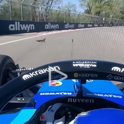 Antonelli lidera treino livre do GP do Canadá; Albon atropela marmota