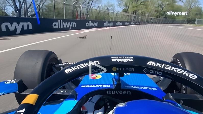 Alex Albon atropelou uma marmota durante o treino livre do GP do Canadá