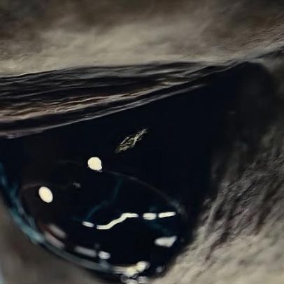 Trailer de Dia D revela Alien de Spielberg