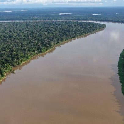 Brasil protegeu grande parte da Amazônia; agora precisa pagar por isso