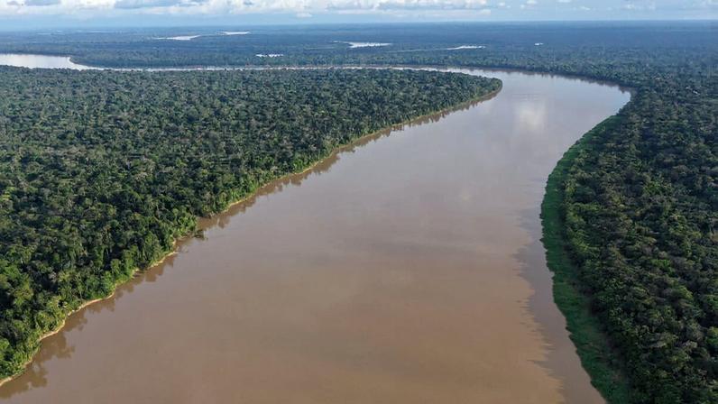Brasil protegeu grande parte da Amazônia; agora precisa pagar por isso