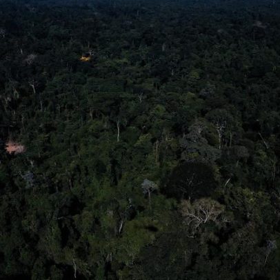 Estudo aponta déficit de 958 milhões de dólares em áreas protegidas