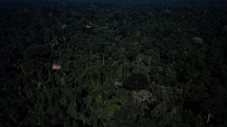 SUBFINANCIAMENTO Reserva florestal Amazônica de Trairão, no estado do Pará: uma das Unidades de Conservação federal que recebeu apenas 20% do recurso devido (Lunae Parracho/AFP)