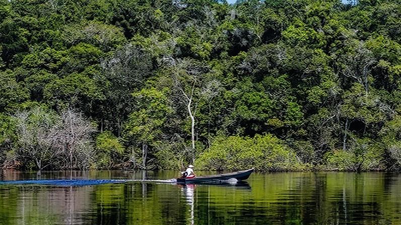 Amazônia do Brasil