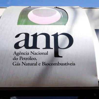 ANP discute uso de gasodutos; Petrobras atua para tirar tema da pauta