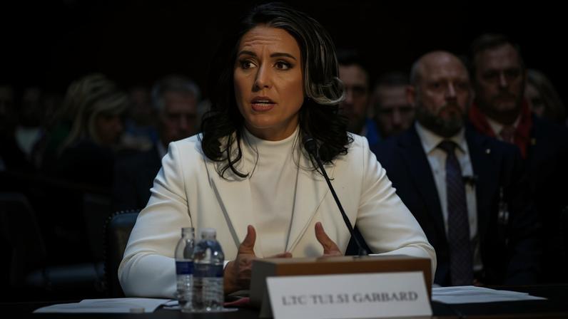 Tulsi Gabbard em audiência no Senado dos EUA — Foto: John McDonnell/AP