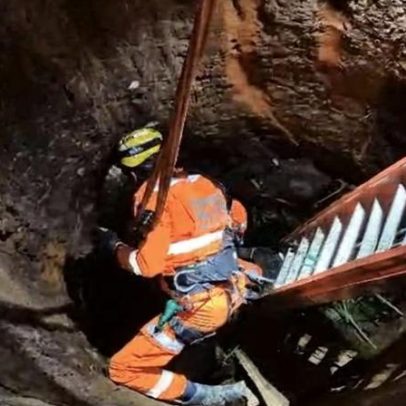 Mula é resgatada com vida após queda em cisterna de 8 metros, em São Francisco