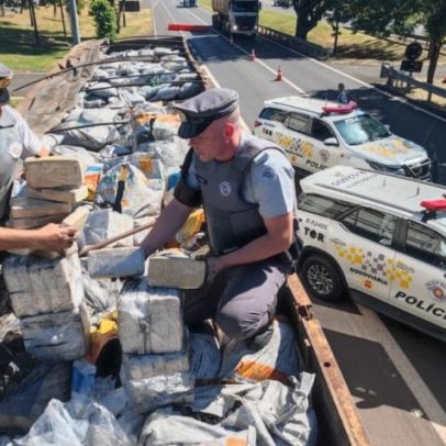 SP apreende 40 toneladas de drogas