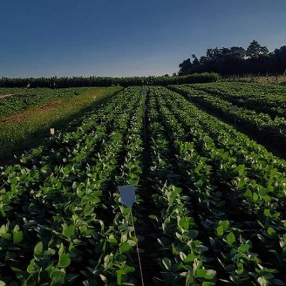 Saldo de empregos em abril fica em 85.888 vagas