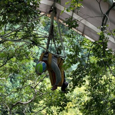 Piloto de asa delta fica preso em árvore no Jardim Botânico, Rio