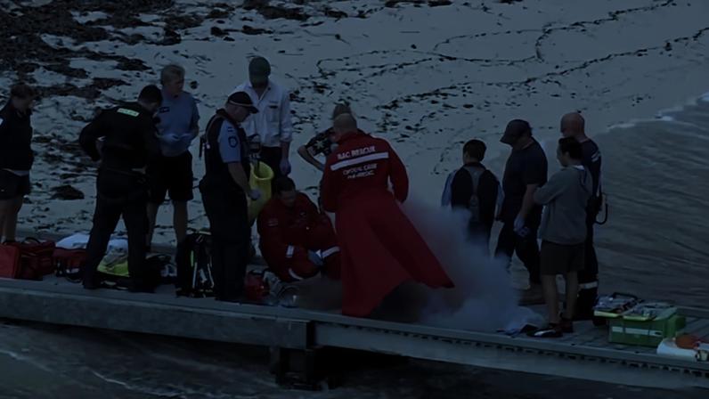 Homem de 38 anos morre após ataque de tubarão em ilha turística na Austrália - Metrópoles