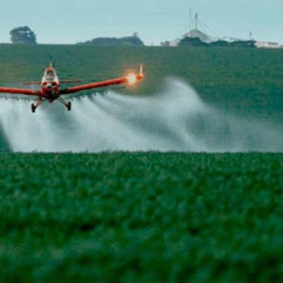 Procuradores solicitam proibição do herbicida mais vendido do Brasil