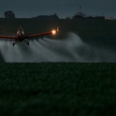 Bayer critica pedido de proibição de herbicida no Brasil