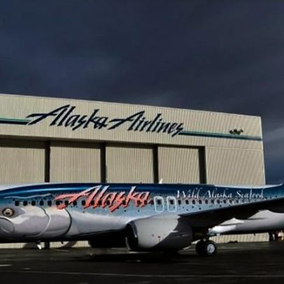 Avião atinge peixe durante voo em incidente inédito