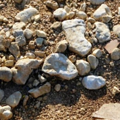 Cade avalia venda de mineradora brasileira de terras raras aos EUA